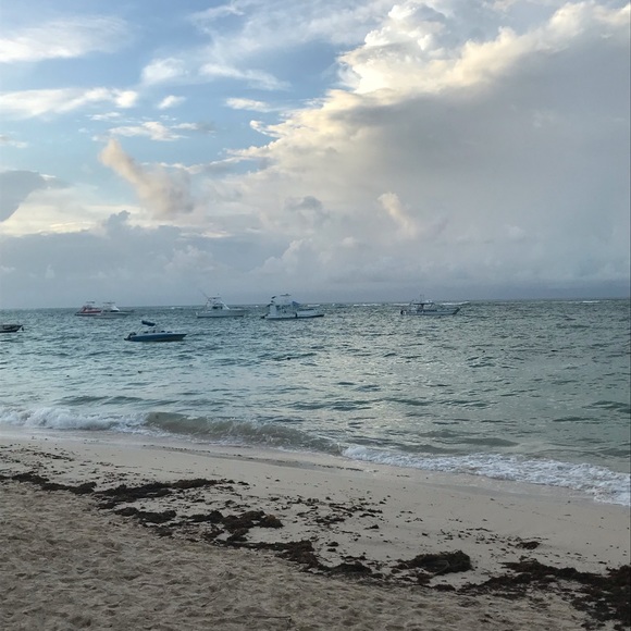 Meet your Posher, Erin - Picture 1 of 1